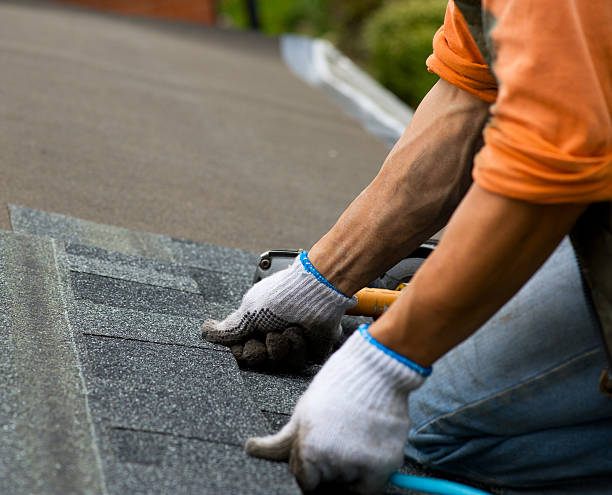 Best Shingle Roofing Installation  in Blakely, PA